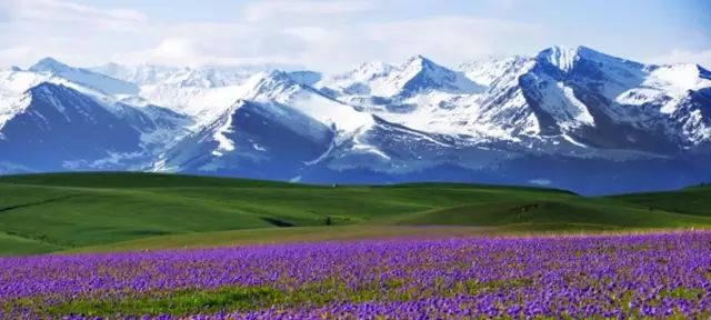 新疆之光,引领科技生活新纪元的高科技产品探秘