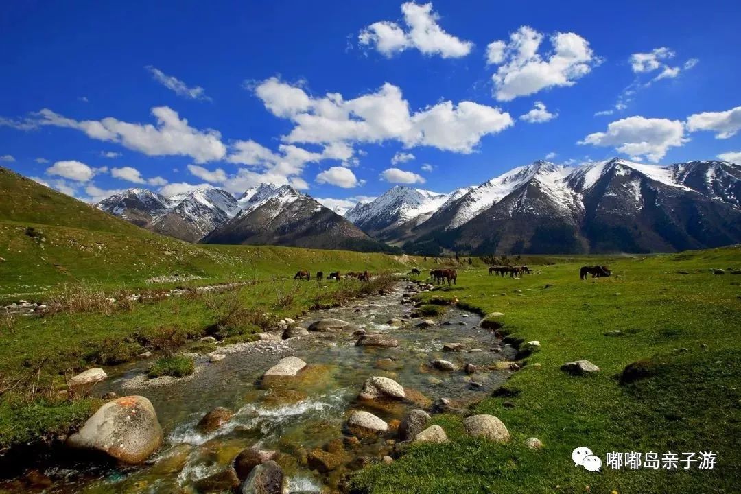 新疆之光,引领科技生活新纪元的高科技产品探秘